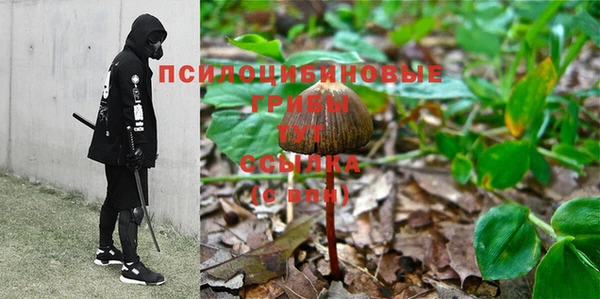 spice Алексеевка