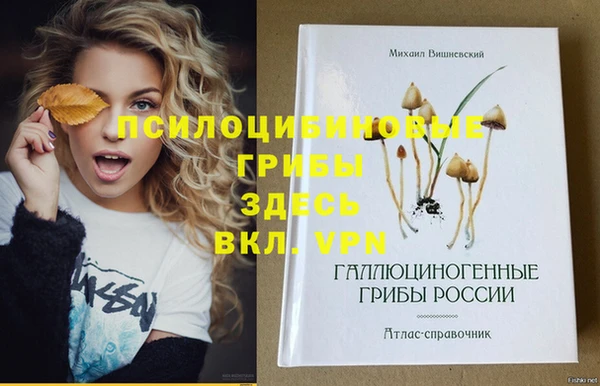 spice Алексеевка