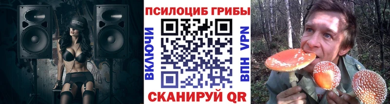 Галлюциногенные грибы Cubensis  Купить где  Таштагол 